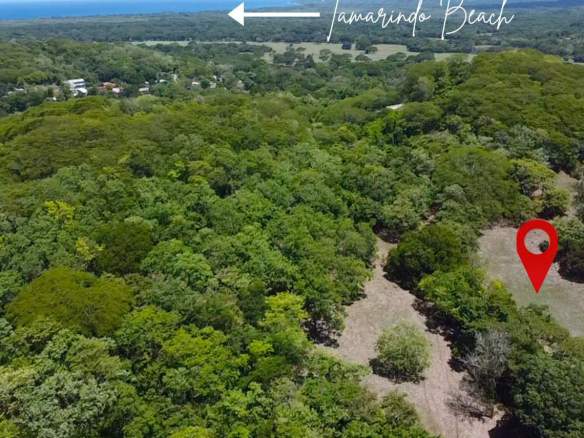 Prime Development Land | 2 Hectares in Villareal, Minutes from Tamarindo Beach