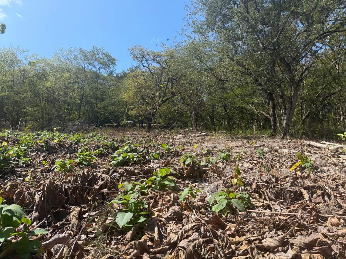 PHOTO-2026-09-24-10-28-43.jpg SENDERO DEL SOL — YOUR GATEWAY TO GUANACASTE’S BEACH LIFESTYLE